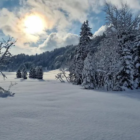 Διαμέρισμα Ferien Am Sonnberg Unken